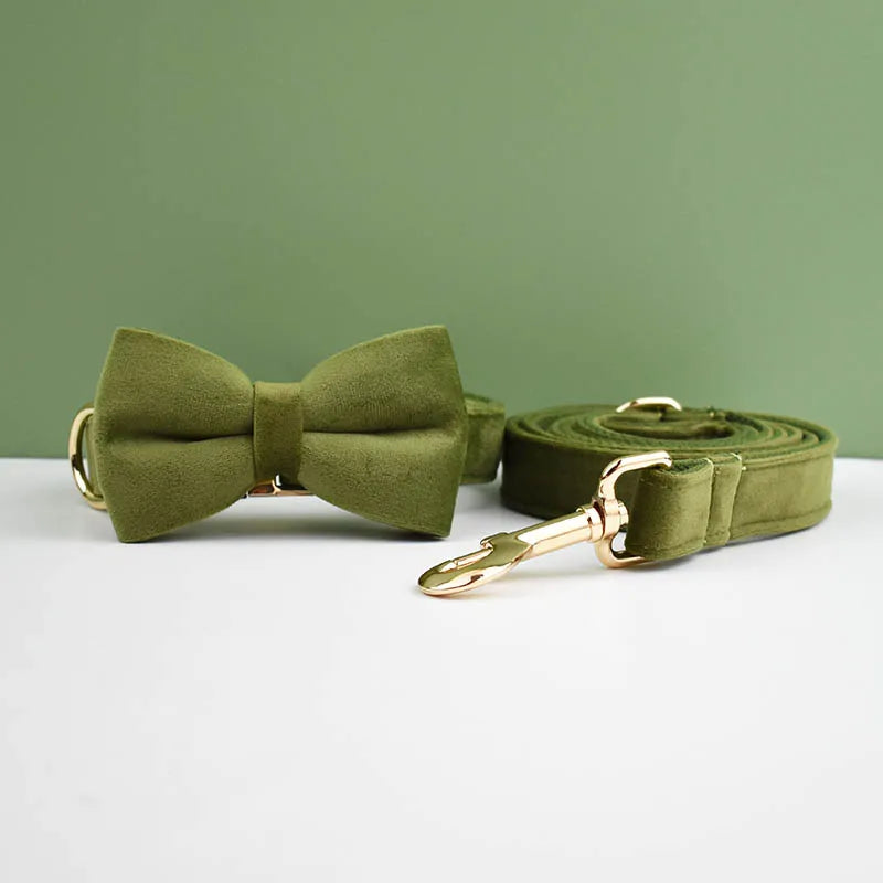 Collier en velours Olive  – Maison Canovia