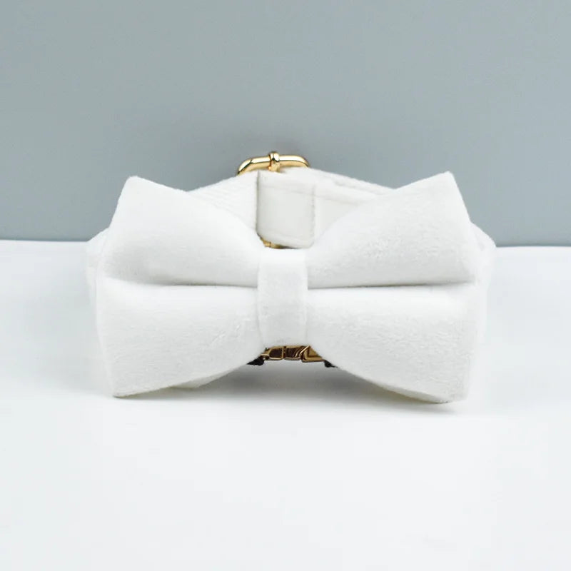 Collier en velours Blanc – Maison Canovia