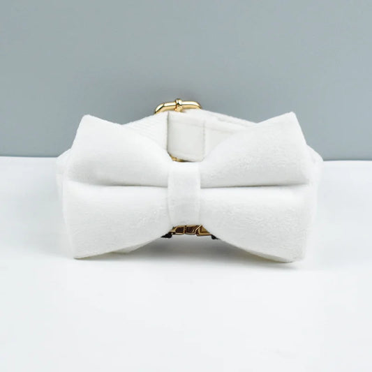 Collier en velours Blanc – Maison Canovia