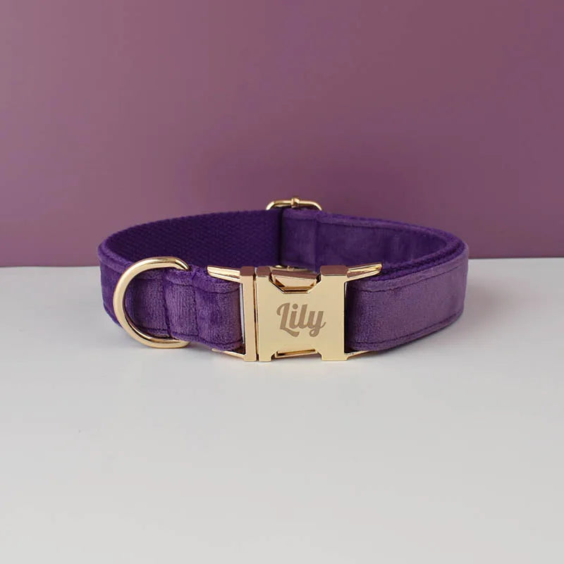Collier en velours Violet - Maison Canovia