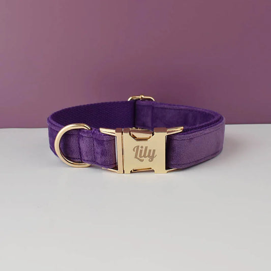 Collier en velours Violet - Maison Canovia